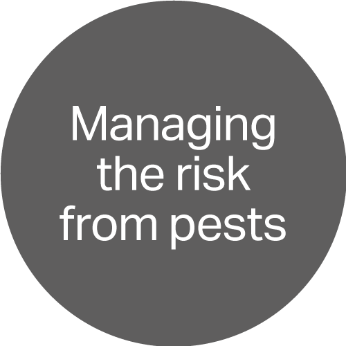 Managing the risk from pests